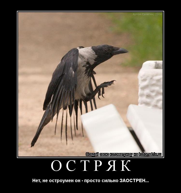 ОСТРЯК Нет, не остроумен он - просто сильно ЗАОСТРЕН...... Котоматрица: ОСТРЯК Нет, не остроумен он - просто сильно ЗАОСТРЕН...