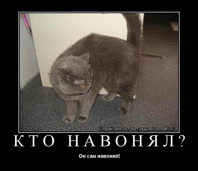 Кто Навонял? Он сам навонял!... Котоматрица: Кто Навонял? Он сам навонял!