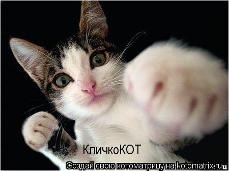 КличкоКОТ... Котоматрица: КличкоКОТ