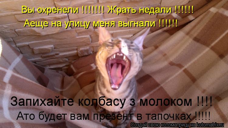 Вы охренели !!!!!!! Жрать недали !!!!!! Аеще на улицу меня выгнали !!!!!! Запихайте колбасу з молоко... Котоматрица: Вы охренели !!!!!!! Жрать недали !!!!!! Аеще на улицу меня выгнали !!!!!! Запихайте колбасу з молоком !!!! Ато будет вам презент в тапочках !!!!!