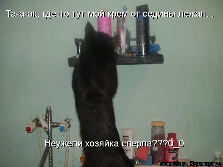 Та-а-ак, где-то тут мой крем от седины лежал... Неужели хозяйка сперла???0_0... Котоматрица: Та-а-ак, где-то тут мой крем от седины лежал... Неужели хозяйка сперла???0_0