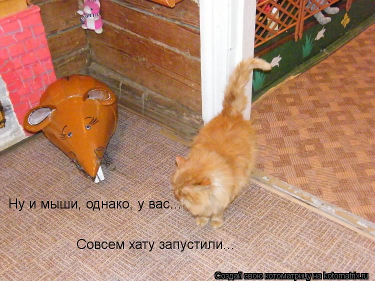 Ну и мыши, однако, у вас... Совсем хату запустили...... Котоматрица: Ну и мыши, однако, у вас... Совсем хату запустили...