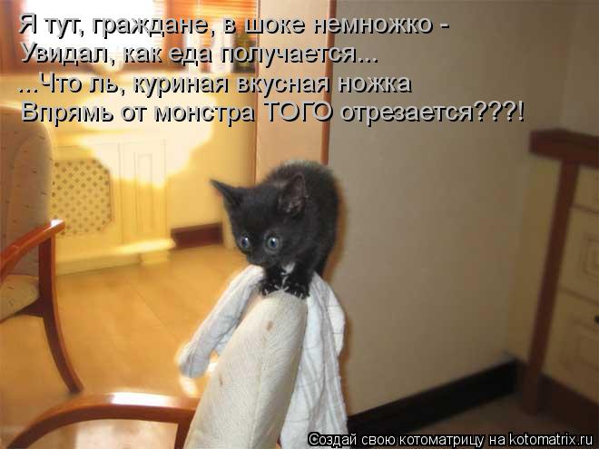 Я тут, граждане, в шоке немножко - Увидал, как еда получается... ...Что ль, куриная вкусная ножка Впр... Котоматрица: Я тут, граждане, в шоке немножко - Увидал, как еда получается... ...Что ль, куриная вкусная ножка Впрямь от монстра ТОГО отрезается???!