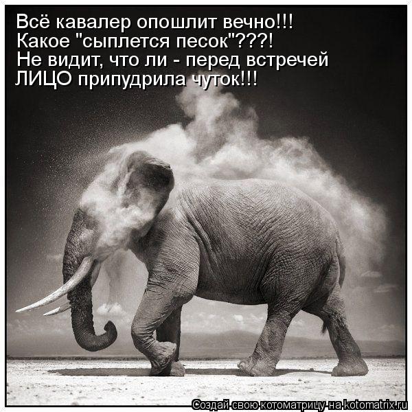 Всё кавалер опошлит вечно!!! Какое "сыплется песок"???! Не видит, что ли - перед встречей ЛИЦО припуд... Котоматрица: Всё кавалер опошлит вечно!!! Какое "сыплется песок"???! Не видит, что ли - перед встречей ЛИЦО припудрила чуток!!!
