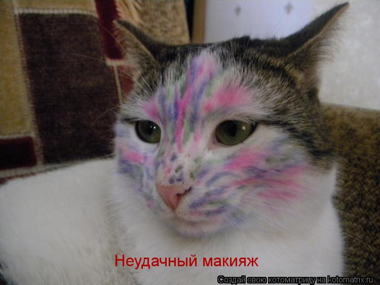 Неудачный макияж... Котоматрица: Неудачный макияж