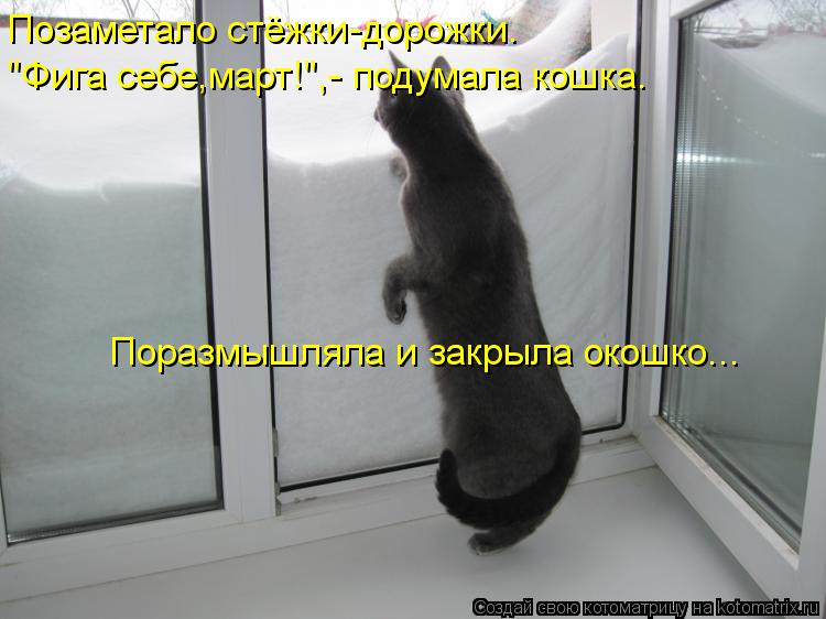 Позаметало стёжки-дорожки. Поразмышляла и закрыла окошко... "Фига себе,март!",- подумала кошка.... Котоматрица: Позаметало стёжки-дорожки. Поразмышляла и закрыла окошко... "Фига себе,март!",- подумала кошка.