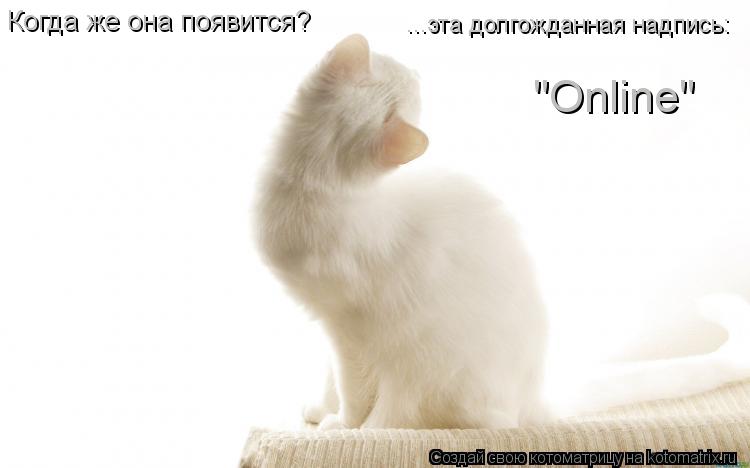 Когда же она появится? ...эта долгожданная надпись: "Online"... Котоматрица: Когда же она появится? ...эта долгожданная надпись: "Online"