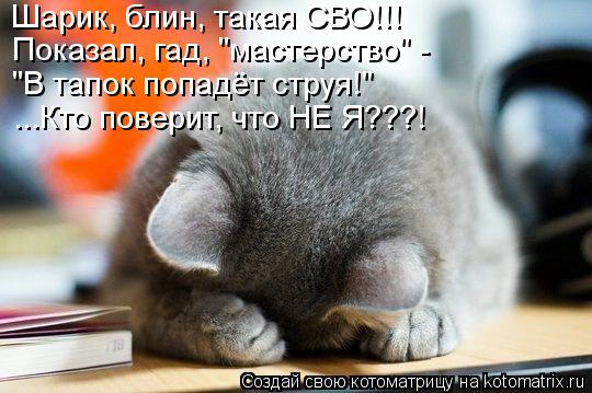 Шарик, блин, такая СВО!!! Показал, гад, "мастерство" - "В тапок попадёт струя!" ...Кто поверит, что ... Котоматрица: Шарик, блин, такая СВО!!! Показал, гад, "мастерство" - "В тапок попадёт струя!" ...Кто поверит, что НЕ Я???!