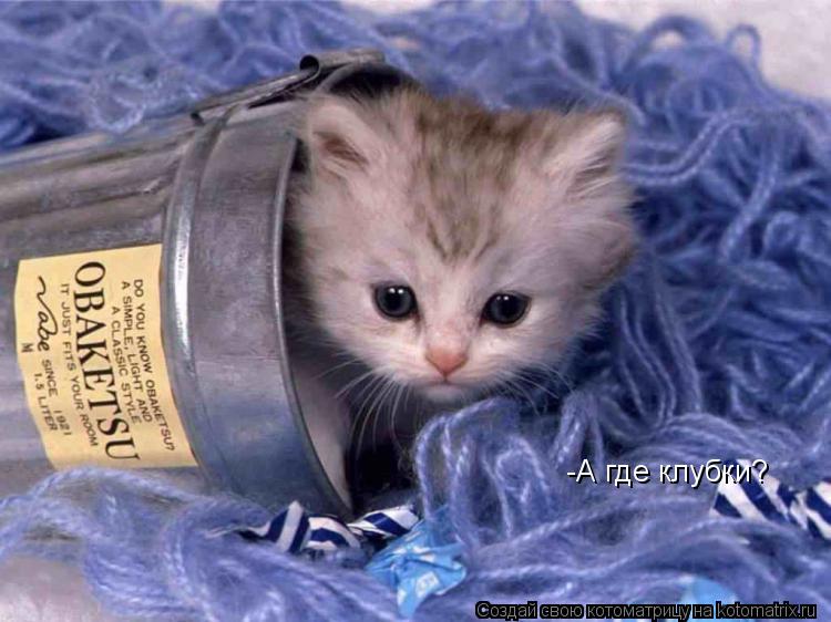-А где клубки?... Котоматрица: -А где клубки?