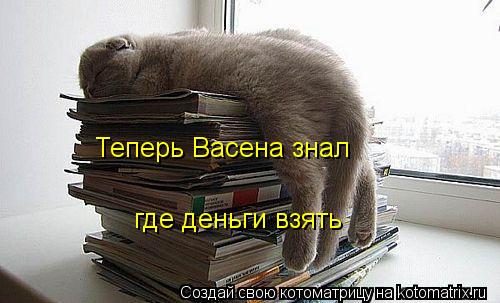Теперь Васена знал где деньги взять... Котоматрица: Теперь Васена знал где деньги взять