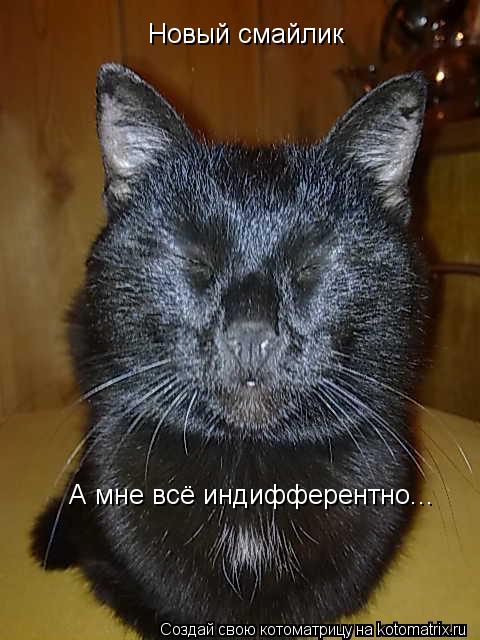Новый смайлик А мне всё индифферентно...... Котоматрица: Новый смайлик А мне всё индифферентно...