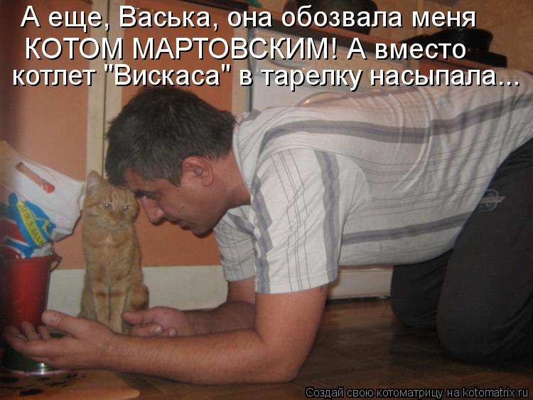 А еще, Васька, она обозвала меня КОТОМ МАРТОВСКИМ! А вместо котлет "Вискаса" в тарелку насыпала...... Котоматрица: А еще, Васька, она обозвала меня КОТОМ МАРТОВСКИМ! А вместо котлет "Вискаса" в тарелку насыпала...