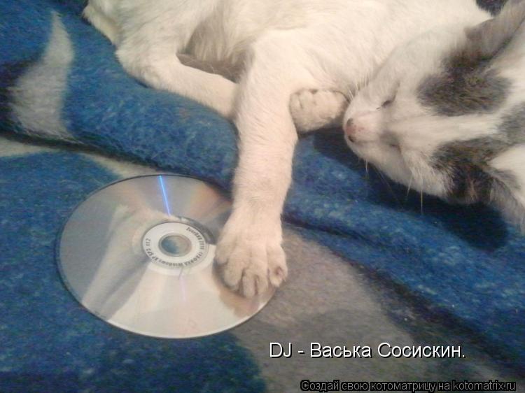 DJ - Васька Сосискин.... Котоматрица: DJ - Васька Сосискин.