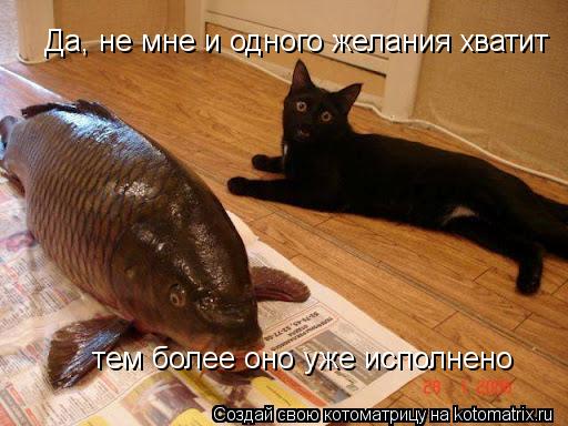 Да, не мне и одного желания хватит тем более оно уже исполнено... Котоматрица: Да, не мне и одного желания хватит тем более оно уже исполнено