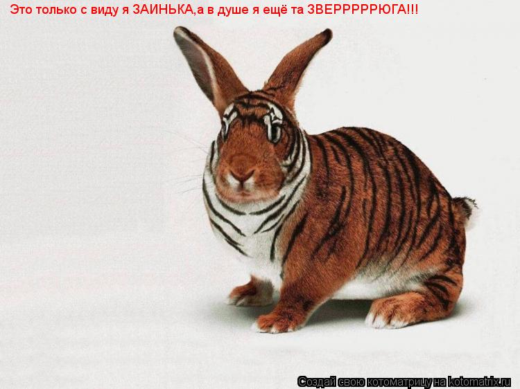 Котоматрица: Это только с виду я ЗАИНЬКА,а в душе я ещё та ЗВЕРРРРРЮГА!!!