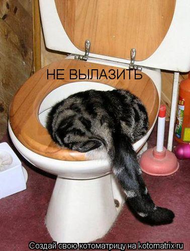 НЕ ВЫЛАЗИТЬ... Котоматрица: НЕ ВЫЛАЗИТЬ