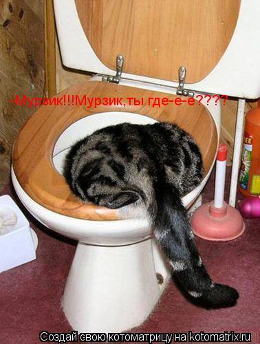 -Мурзик!!!Мурзик,ты где-е-е????... Котоматрица: -Мурзик!!!Мурзик,ты где-е-е????