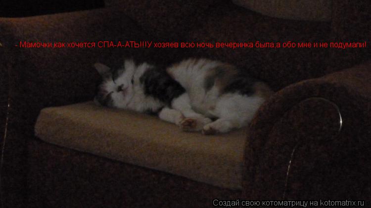 - Мамочки,как хочется СПА-А-АТЬ!!!У хозяев всю ночь вечеринка была,а обо мне и не подумали!... Котоматрица: - Мамочки,как хочется СПА-А-АТЬ!!!У хозяев всю ночь вечеринка была,а обо мне и не подумали!