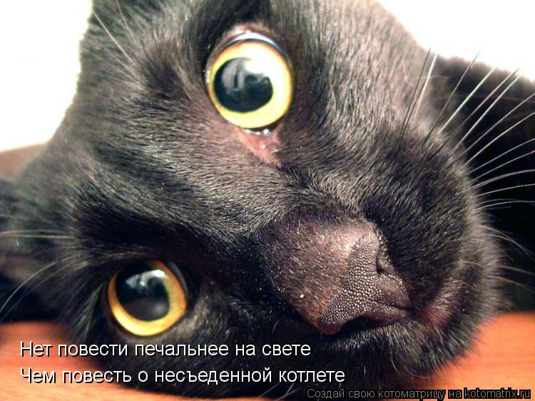 Нет повести печальнее на свете Чем повесть о несъеденной котлете... Котоматрица: Нет повести печальнее на свете Чем повесть о несъеденной котлете