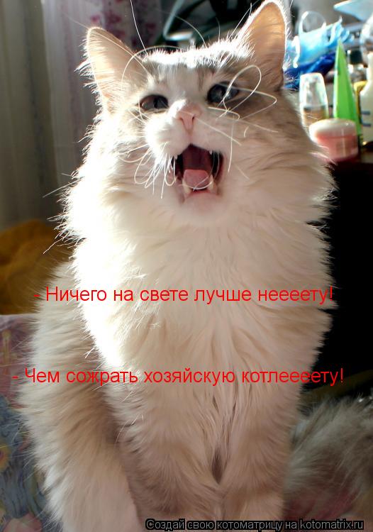 - Ничего на свете лучше неееету! - Чем сожрать хозяйскую котлеееету!... Котоматрица: - Ничего на свете лучше неееету! - Чем сожрать хозяйскую котлеееету!