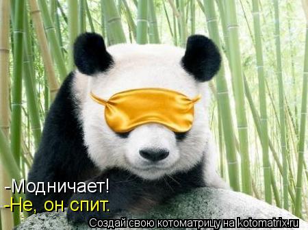 -Модничает! -Не, он спит.... Котоматрица: -Модничает! -Не, он спит.