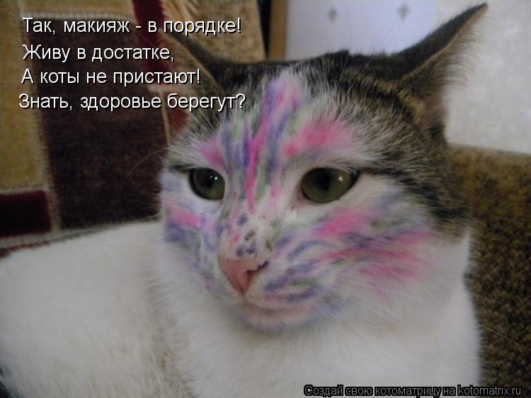Так, макияж - в порядке! Живу в достатке, А коты не пристают! Знать, здоровье берегут?... Котоматрица: Так, макияж - в порядке! Живу в достатке, А коты не пристают! Знать, здоровье берегут?