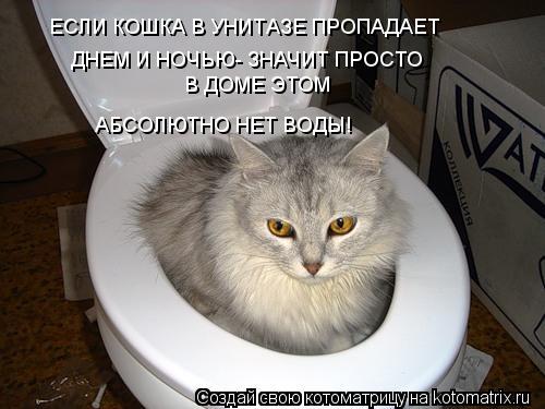 ЕСЛИ КОШКА В УНИТАЗЕ ПРОПАДАЕТ ДНЕМ И НОЧЬЮ- ЗНАЧИТ ПРОСТО В ДОМЕ ЭТОМ АБСОЛЮТНО НЕТ ВОДЫ!... Котоматрица: ЕСЛИ КОШКА В УНИТАЗЕ ПРОПАДАЕТ ДНЕМ И НОЧЬЮ- ЗНАЧИТ ПРОСТО В ДОМЕ ЭТОМ АБСОЛЮТНО НЕТ ВОДЫ!