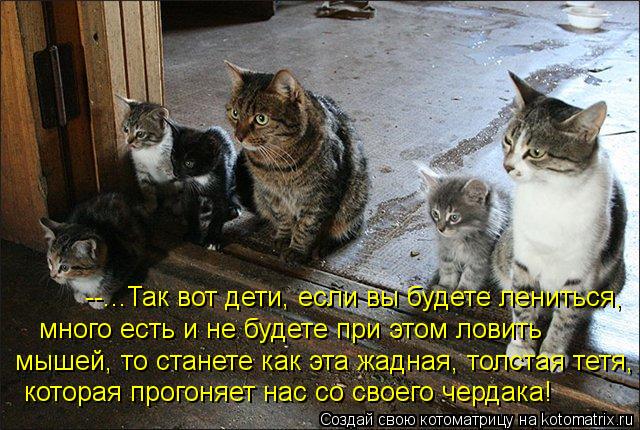 --...Так вот дети, если вы будете лениться, много есть и не будете при этом ловить мышей, то станет... Котоматрица: --...Так вот дети, если вы будете лениться, много есть и не будете при этом ловить мышей, то станете как эта жадная, толстая тетя, которая прог