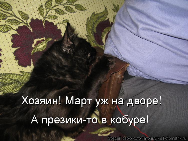 Хозяин! Март уж на дворе! А презики-то в кобуре!... Котоматрица: Хозяин! Март уж на дворе! А презики-то в кобуре!