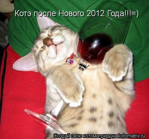 Котэ после Нового 2012 Года!!!=)... Котоматрица: Котэ после Нового 2012 Года!!!=)
