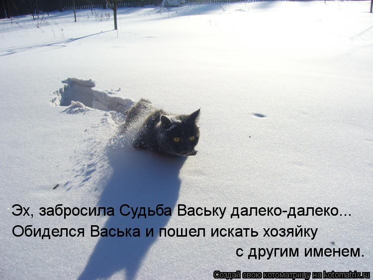 Котоматрица: Эх, забросила Судьба Ваську далеко-далеко... Обиделся Васька и пошел искать хозяйку с другим именем.