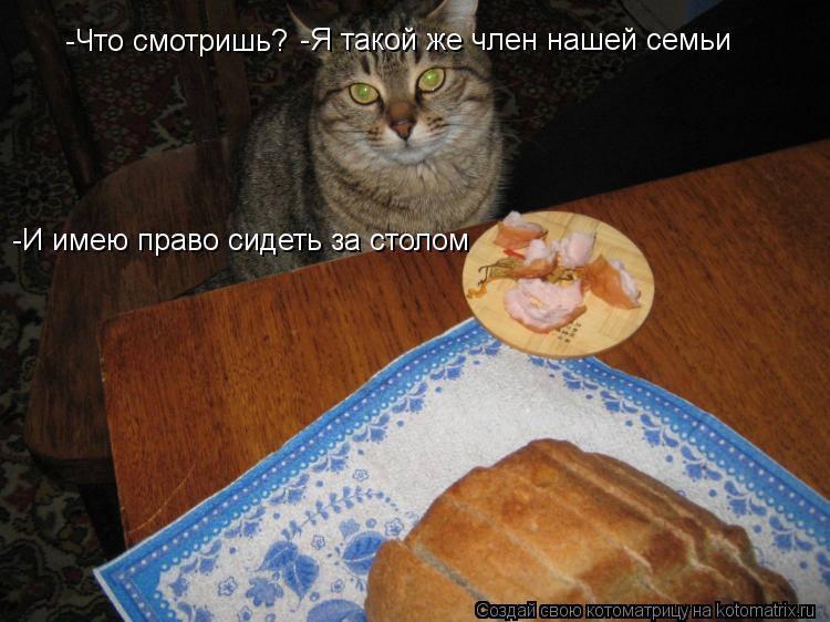 -Что смотришь? -Я такой же член нашей семьи -И имею право сидеть за столом... Котоматрица: -Что смотришь? -Я такой же член нашей семьи -И имею право сидеть за столом