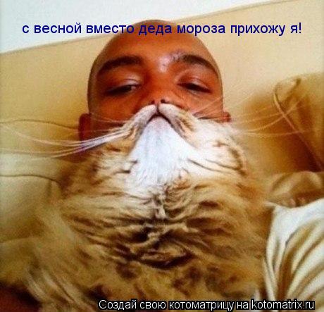 с весной вместо деда мороза прихожу я!... Котоматрица: с весной вместо деда мороза прихожу я!