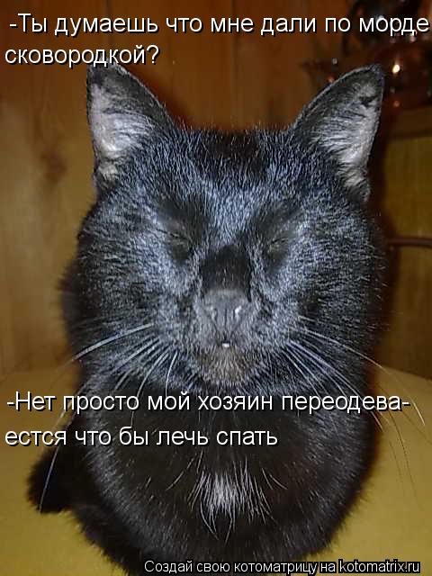 -Ты думаешь что мне дали по морде сковородкой? сковородкой? -Нет просто мой хозяин переодева- естся ч... Котоматрица: -Ты думаешь что мне дали по морде сковородкой? сковородкой? -Нет просто мой хозяин переодева- естся что бы лечь спать