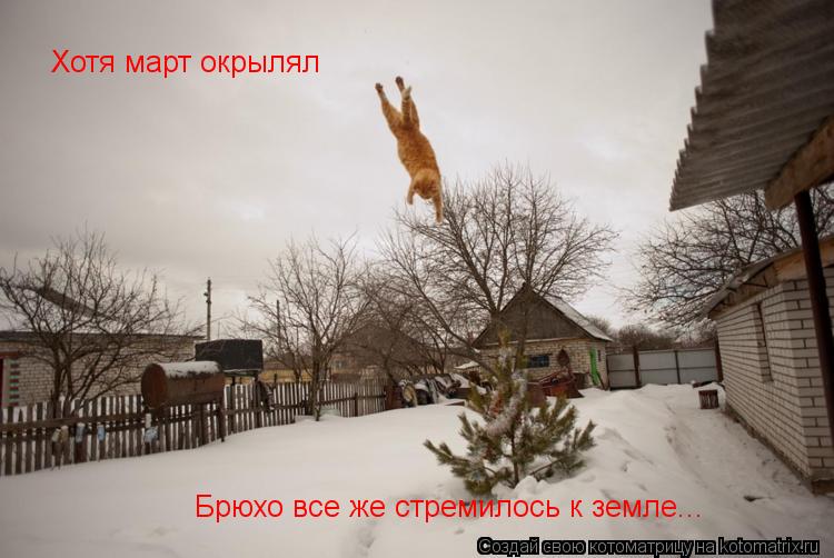 Хотя март окрылял Брюхо все же стремилось к земле...... Котоматрица: Хотя март окрылял Брюхо все же стремилось к земле...