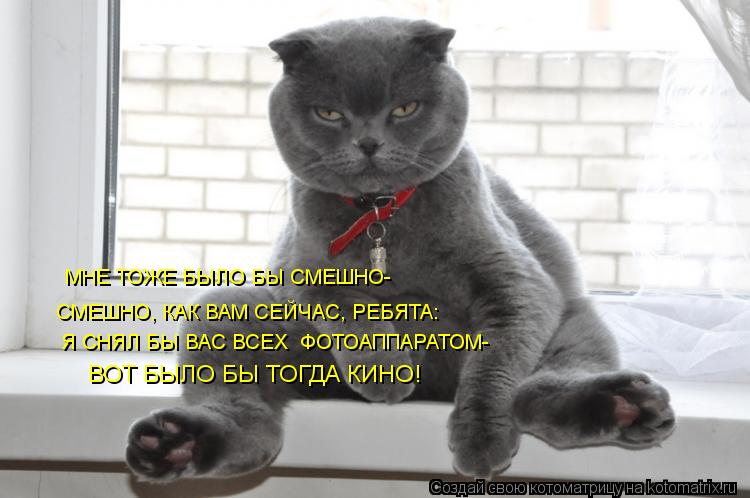 МНЕ ТОЖЕ БЫЛО БЫ СМЕШНО- СМЕШНО, КАК ВАМ СЕЙЧАС, РЕБЯТА: Я СНЯЛ БЫ ВАС ВСЕХ ФОТОАППАРАТОМ- ВОТ БЫЛО ... Котоматрица: МНЕ ТОЖЕ БЫЛО БЫ СМЕШНО- СМЕШНО, КАК ВАМ СЕЙЧАС, РЕБЯТА: Я СНЯЛ БЫ ВАС ВСЕХ ФОТОАППАРАТОМ- ВОТ БЫЛО БЫ ТОГДА КИНО!