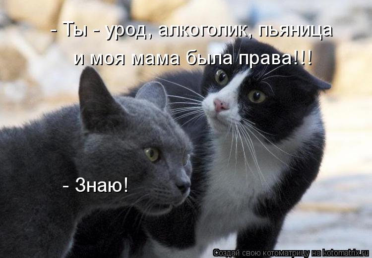 - Ты - урод, алкоголик, пьяница и моя мама была права!!! - Знаю!... Котоматрица: - Ты - урод, алкоголик, пьяница и моя мама была права!!! - Знаю!