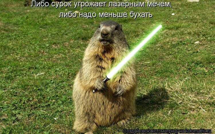 Либо сурок угрожает лазерным мечем, либо надо меньше бухать... Котоматрица: Либо сурок угрожает лазерным мечем, либо надо меньше бухать