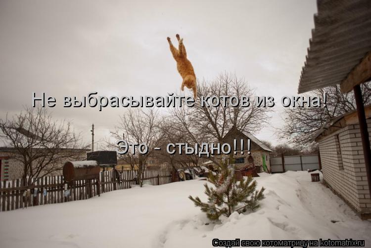 Не выбрасывайте котов из окна! Это - стыдно!!!... Котоматрица: Не выбрасывайте котов из окна! Это - стыдно!!!