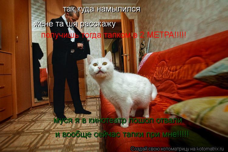 так,куда намылился жене та шя расскажу получишь тогда тапком в 2 МЕТРА!!!!! муся я в кинотеатр пошол ... Котоматрица: так,куда намылился жене та шя расскажу получишь тогда тапком в 2 МЕТРА!!!!! муся я в кинотеатр пошол отвали и вообще сейчас тапки при мне!!!!!