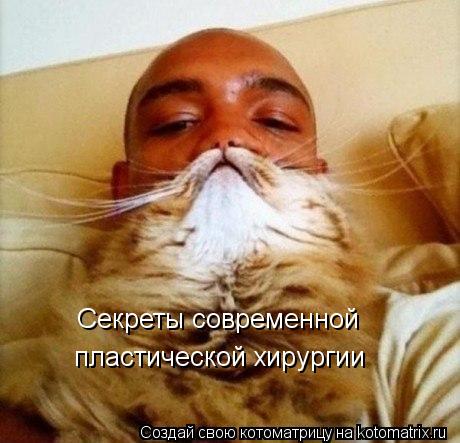 Секреты современной пластической хирургии... Котоматрица: Секреты современной пластической хирургии