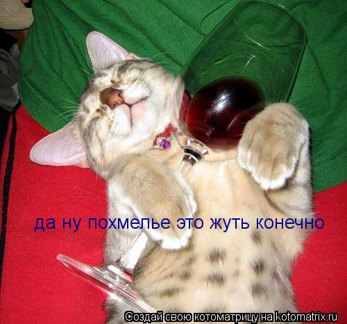 да ну похмелье это жуть конечно... Котоматрица: да ну похмелье это жуть конечно