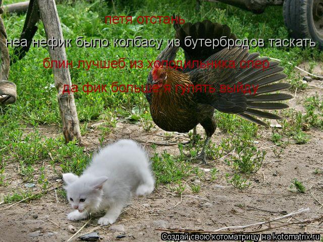 петя отстань неа нефик было колбасу из бутербродов таскать блин лучшеб из холодильника спер да фик бо... Котоматрица: петя отстань неа нефик было колбасу из бутербродов таскать блин лучшеб из холодильника спер да фик больше я гулять выйду