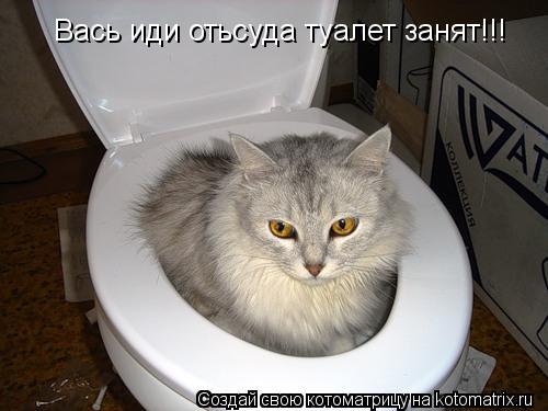 Вась иди отьсуда туалет занят!!!... Котоматрица: Вась иди отьсуда туалет занят!!!