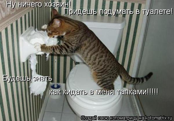 Ну ничего хозяин! Придешь подумать в туалете! Будешь знать как кидать в меня тапками!!!!!... Котоматрица: Ну ничего хозяин! Придешь подумать в туалете! Будешь знать как кидать в меня тапками!!!!!