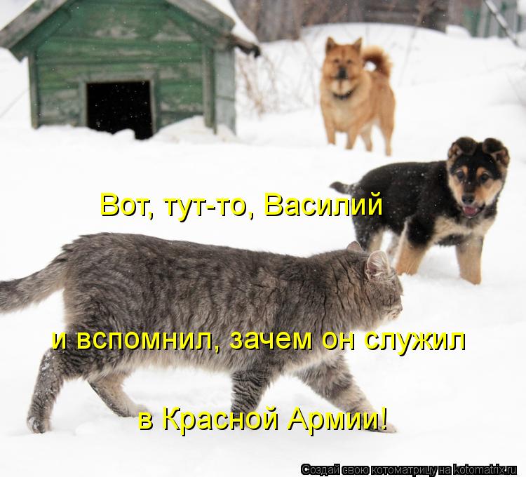 Вот, тут-то, Василий и вспомнил, зачем он служил в Красной Армии!... Котоматрица: Вот, тут-то, Василий и вспомнил, зачем он служил в Красной Армии!