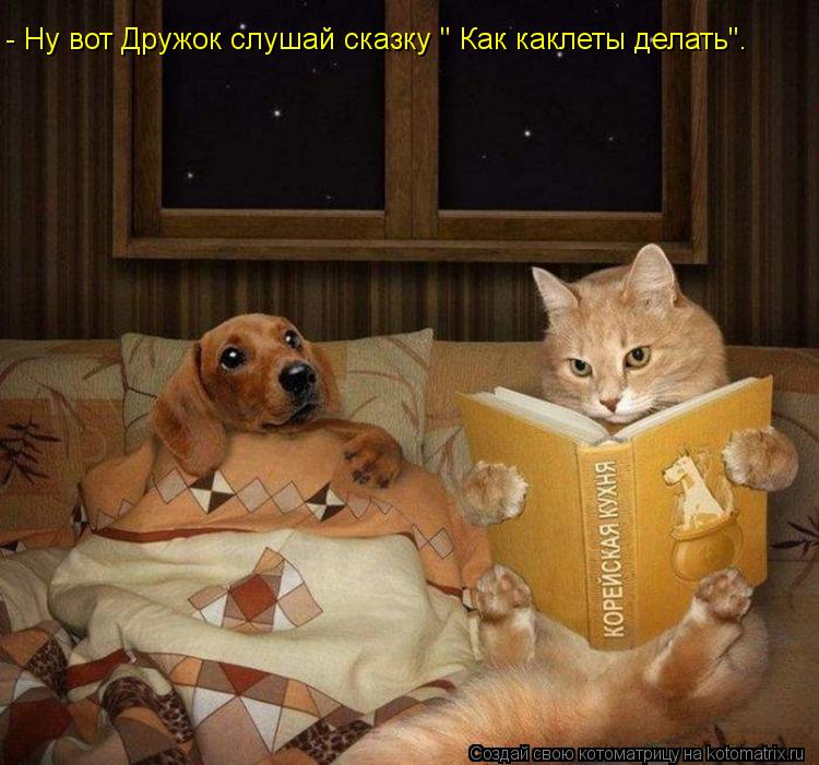 - Ну вот Дружок слушай сказку " Как каклеты делать".... Котоматрица: - Ну вот Дружок слушай сказку " Как каклеты делать".