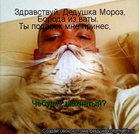 Здравствуй, Дедушка Мороз, Борода из ваты. Ты подарок мне принес, Чебурек мохнатый?... Котоматрица: Здравствуй, Дедушка Мороз, Борода из ваты. Ты подарок мне принес, Чебурек мохнатый?