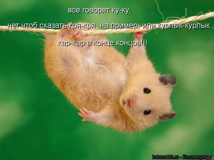 все говорят ку-ку, нет чтоб сказать кря-кря на пример, или курлык-курлык , кар-кар в конце концов!!!... Котоматрица: все говорят ку-ку, нет чтоб сказать кря-кря на пример, или курлык-курлык , кар-кар в конце концов!!!