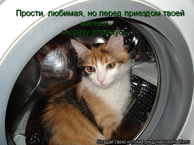 Прости, любимая, но перед приездом твоей матери я сразу спрячусь...... Котоматрица: Прости, любимая, но перед приездом твоей матери я сразу спрячусь...